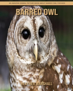 Bertrand.pt - Barred Owl