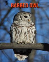 Barred Owl