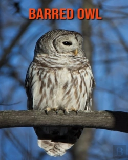Bertrand.pt - Barred Owl
