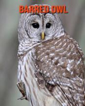 Barred Owl