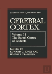 Barrel Cortex Of Rodents