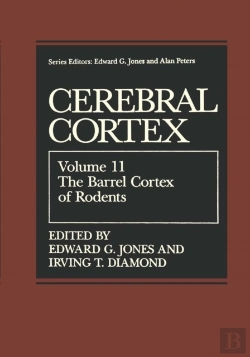 Bertrand.pt - Barrel Cortex Of Rodents