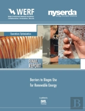 Barriers To Biogas Use For Renewable Energy