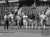 Baseball'S Endangered Species