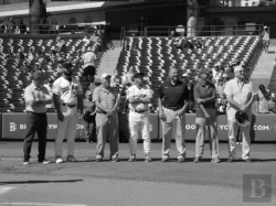 Bertrand.pt - Baseball'S Endangered Species
