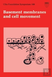 Basement Membranes And Cell Movement