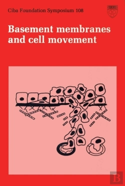 Bertrand.pt - Basement Membranes And Cell Movement