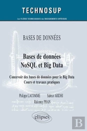 Bases De Données Nosql Et Big Data ; Concevoir Des Bases De Données Pour Le Big Data ; Cours Et Travaux Pratiques