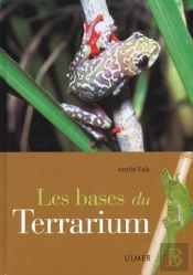 Bases Du Terrarium
