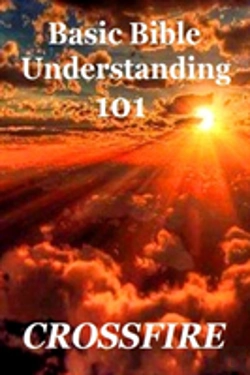 Bertrand.pt - Basic Bible Understanding, 101 (Paperback)