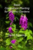 Basic Companion Planting For Organic Gardens