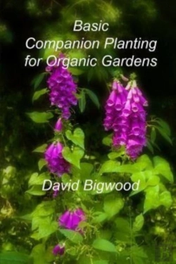 Bertrand.pt - Basic Companion Planting For Organic Gardens