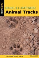 Basic Illustrated Animal Tracks