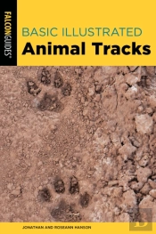 Basic Illustrated Animal Tracks