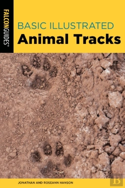 Bertrand.pt - Basic Illustrated Animal Tracks