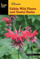 Basic Illustrated Edible Wild Plants And Useful Herbs