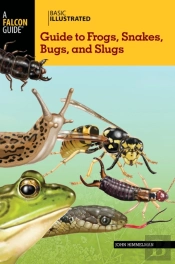 Basic Illustrated Guide To Frogs, Snakes, Bugs, And Slugs