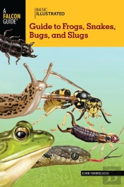 Basic Illustrated Guide To Frogs, Snakes, Bugs, And Slugs