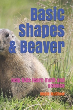 Bertrand.pt - Basic Shapes & Beaver