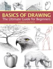 Basics Of Drawing