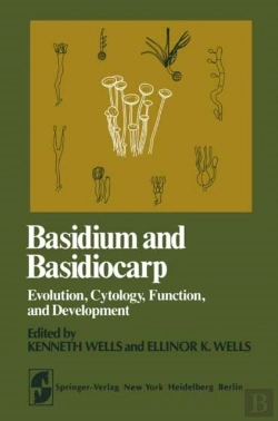 Bertrand.pt - Basidium And Basidiocarp