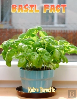 Bertrand.pt - Basil Fact