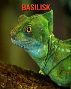 Bertrand.pt - Basilisk