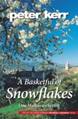 Bertrand.pt - Basketful Of Snowflakes