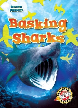 Bertrand.pt - Basking Sharks