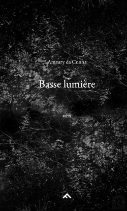 Bertrand.pt - Basse Lumière