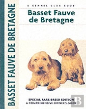 Basset Fauve De Bretagne