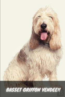 Bertrand.pt - Basset Griffon Vendeen