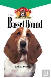 Basset Hound
