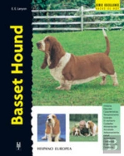 Basset Hound
