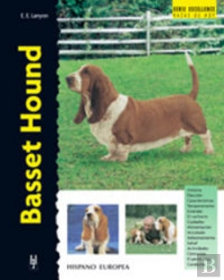 Bertrand.pt - Basset Hound