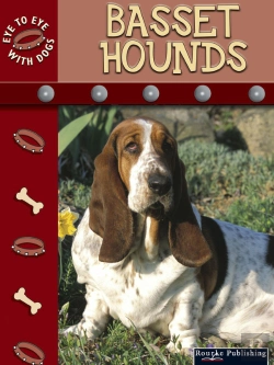 Bertrand.pt - Basset Hounds