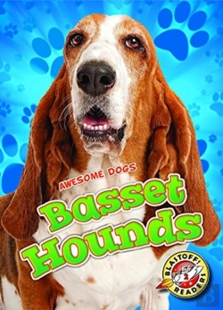 Bertrand.pt - Basset Hounds