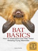 Bat Basics