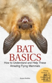 Bat Basics