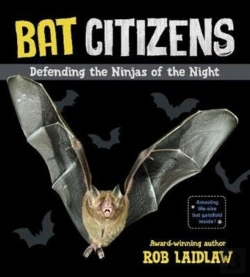 Bertrand.pt - Bat Citizens