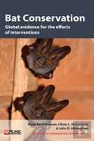 Bat Conservation