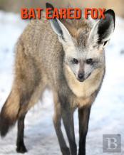 Bat Eared Fox