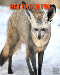 Bertrand.pt - Bat Eared Fox