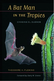 Bat Man In The Tropics