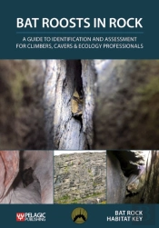 Bat Roosts In Rock