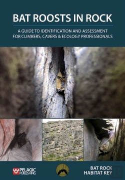Bertrand.pt - Bat Roosts In Rock