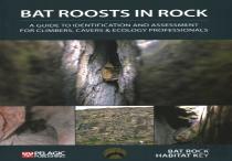 Bat Roosts In Rock