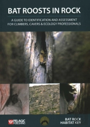 Bat Roosts In Rock
