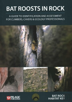 Bertrand.pt - Bat Roosts In Rock