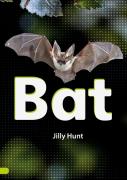 Bat (Set 02)